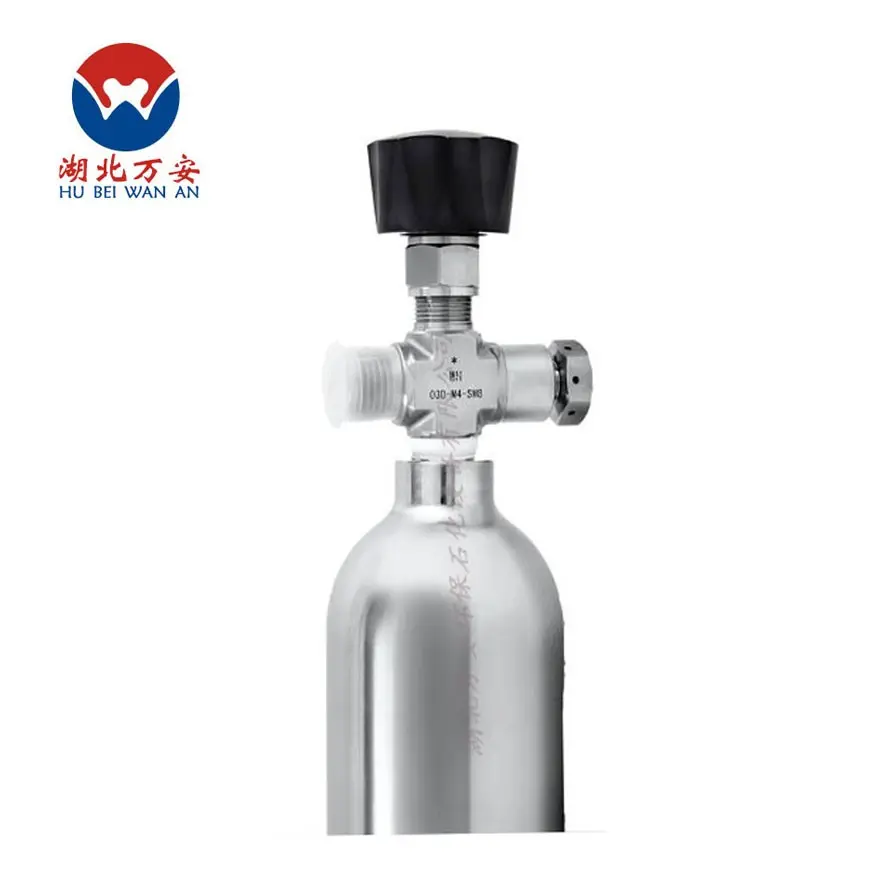 湖北万安环保-取样钢瓶Gas Cylinder